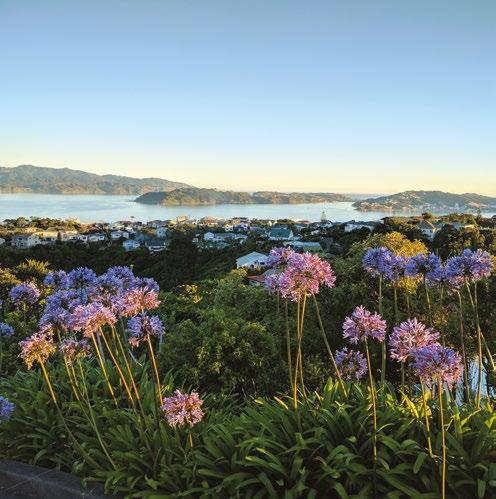 WELLINGTON Photo: Kevin Fenaughty. Wellington city is the vibrant and creative capital of New Zealand.