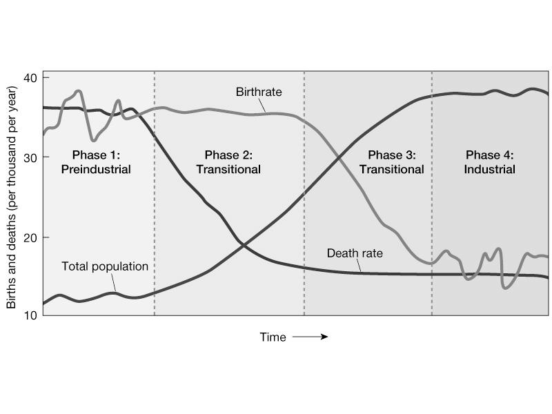 In the Demographic Transition Model: 1. Birth- & death rates & population growth are high in Phase 1. 2. Population growth stabilizes when death rates decline in Phase 2. 3.