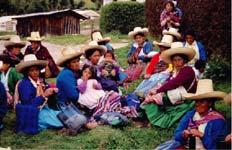 1997: Andean Decision 391: Common Regime on Access to Genetic Resources.