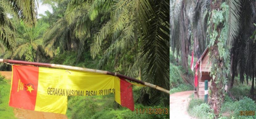 Figure 15 GNP33 s Flags Legitimized to Harvest Palm Fruit of Asiatic Company R.