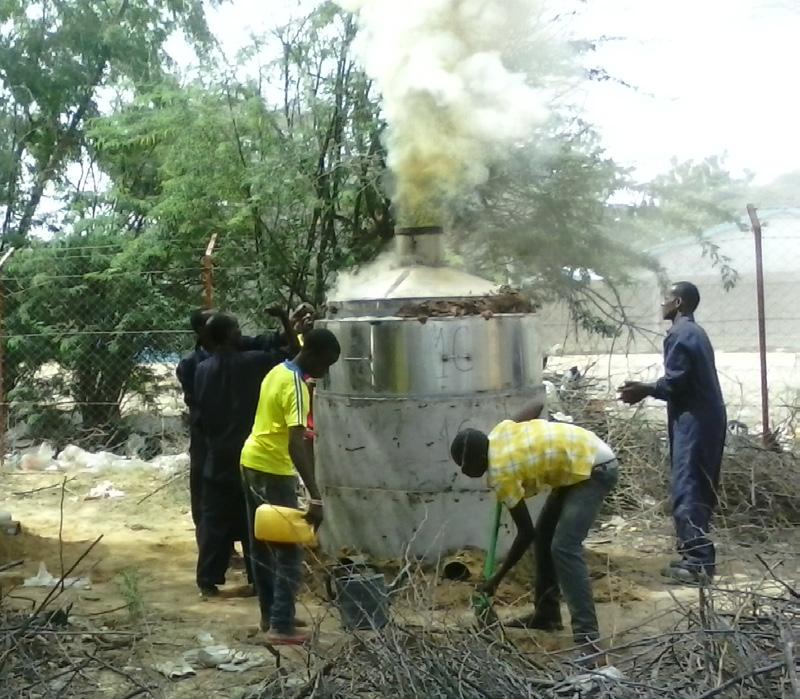 In Dadaab, WFP is completing a pilot project on the production of charcoal briquettes, utilizing the invasive prosopis plant. The project has so far produced 30 tons of briquettes.