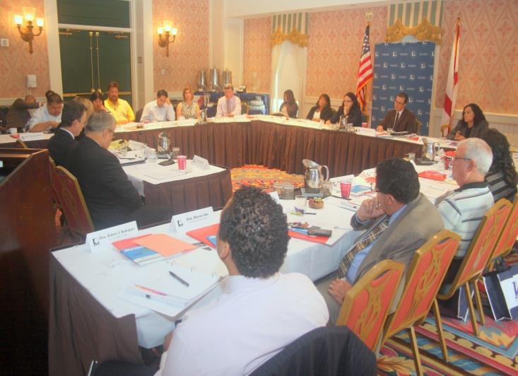 NALEO Building Healthy Communities Initiatives Goal: To increase the knowledge and enhance the capacity of Latino policymakers in key governance areas that are required in order to increase