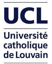 INTERNATIONAL HUMAN RIGHTS LouvainX online course - prof.