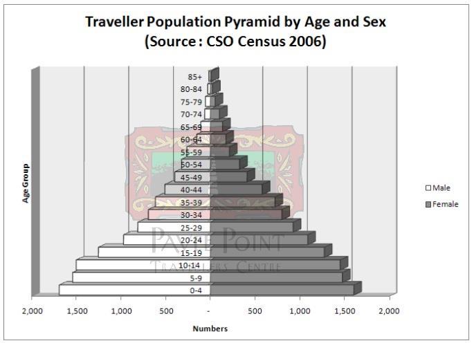 National Profile of Traveller Minority Ethnic Population Size of Population and Age Profile The 2011 census identified the Traveller population as being approximately 0.