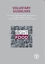 FAO Voluntary Guidelines to support the progressive realization of
