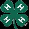 DUTIES OF ELECTED 4-H OFFICERS PRESIDENT DUTIES Presides at all meetings Appoints committees Casts deciding vote if there is a tie Encourages all members to take part Arranges for Vice President to