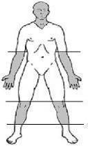 Tattoos in the areas shaded on the above diagram must not cover more that 25% of each appendage.