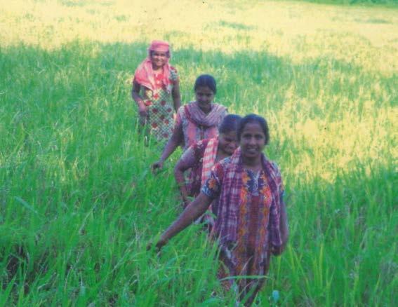 Learnings from Recommendations for a Women-Inclusive Agricultural Policy in the Kerala St