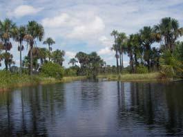 Wane Kreek Nature Reserve At a workshop on Indigenous Peoples and Protected Areas in Guyana in April 2001, Ricardo Pané, village leader of Christiaankondre, made the following statement regarding the