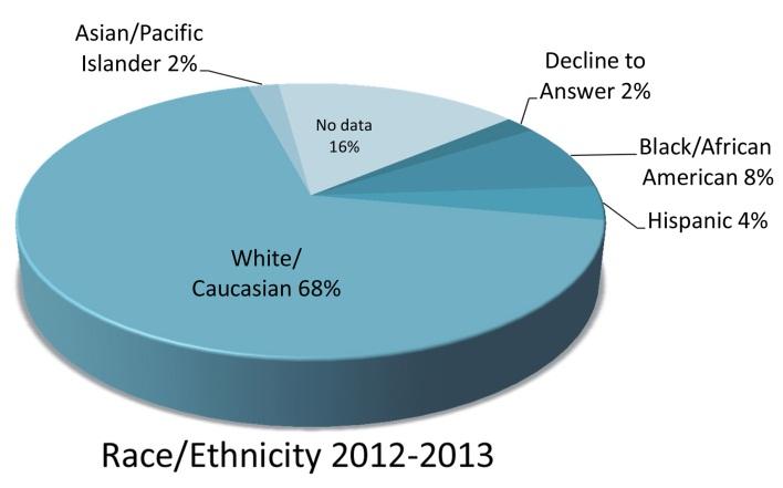 2012-2013 Race/Ethnicity