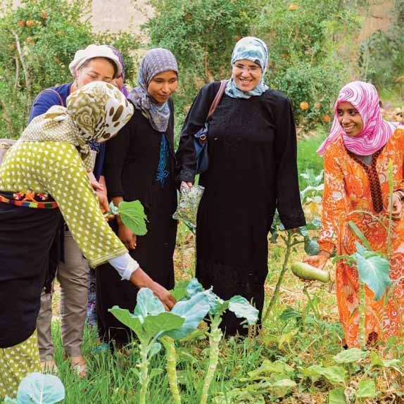 More than 100 women living in oases in the south-eastern province of Errachidia, Morocco have found a unique way to mitigate the effects of climate change on their environment by producing medicinal