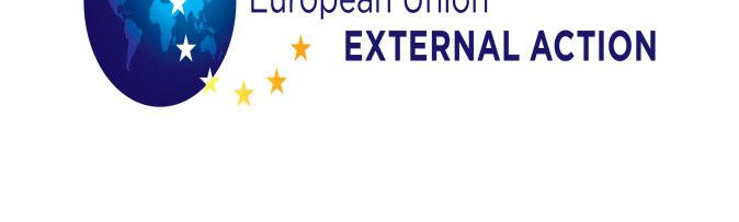 The overall objectives of the meeting were to analyse the state of play regarding the establishment of the European External Action Service (EEAS), to identify opportunities and obstacles for the