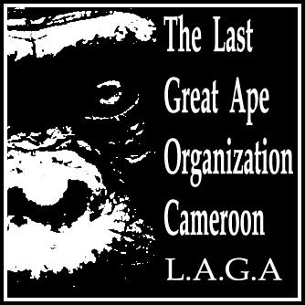The Last Great Ape Organization LA GA November 2010 Report Highlights 4 arrest operations carried out in 4 different countries with the arrest of a total of 21 major dealers within 5 days in Regional