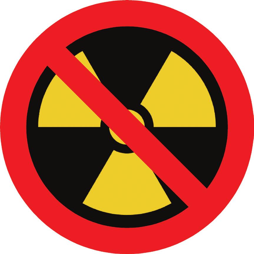 In June 1995, at the 31st Ordinary Session of the then OAU held in Addis Ababa, the African Nuclear-WeaponFree Zone Treaty (Pelindaba Treaty) was