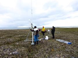 Activities 2016-17 Ø S&T funded projects 19 multi-year (Pan-Northern) Research includes: sea ice measuring and forecasting, water quality monitoring, wildlife health,