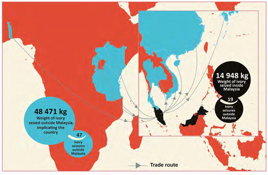 ANALYSIS AND DISCUSSION Malaysia s role During the 11-year period assessed by this report, smugglers have increasingly used Malaysian ports to move illicit ivory shipments to consumer markets.