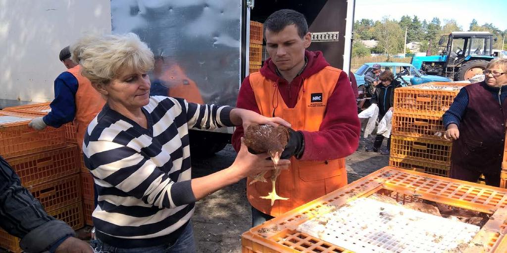 FACT SHEET Nov 2016 Chicken distribution in Muratove village, Luhansk oblast.