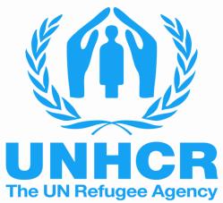 United Nations High Commissioner for Refugees (UNHCR) E X T E R N A L V A C A N C Y N O T I C E JOB DESCRIPTION Vacancy Notice No.