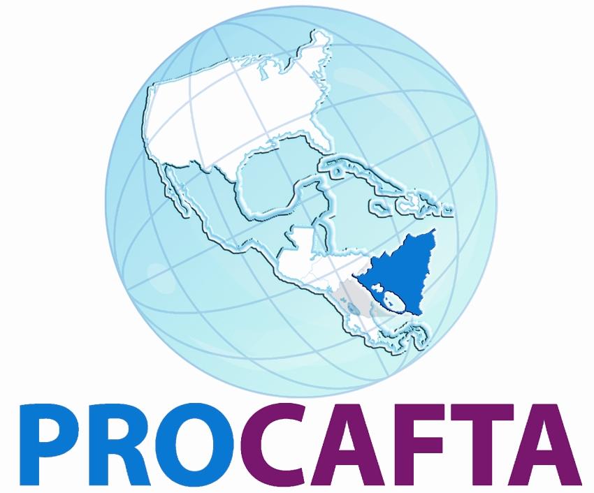1 THE DOMINICAN REPUBLIC-CENTRAL AMERICA-UNITED STATES FREE TRADE AGREEMENT (DR-CAFTA), A TOOL