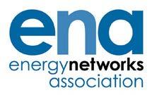 The Voice of the Networks Energy Networks Association