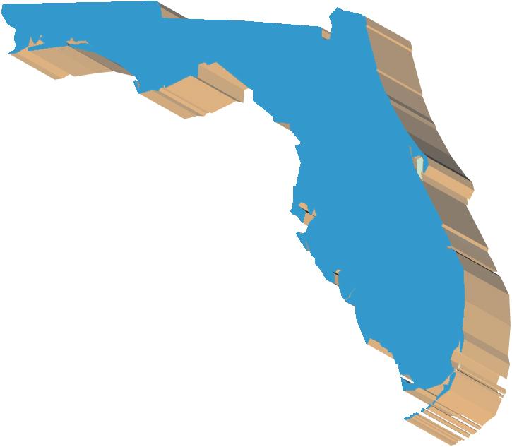 Florida s Initiative & Referendum Rights Constitutional Amendment 3 points Florida s state constitution authorizes citizens to propose constitutional amendments by petition.