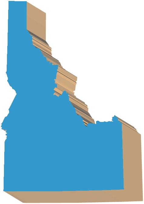 Idaho citizens enjoy the right to propose state laws by petition, and to call a People s Veto (a statewide referendum) on laws passed by the legislature.