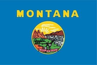 Montana can improve its grade by making its initiative process more open and accessible to the average citizen.