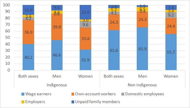 Most indigenous peoples work as own-account workers, unpaid family members and domestic employees, with low incomes, precarious working conditions and less social protection LATIN AMERICA (8