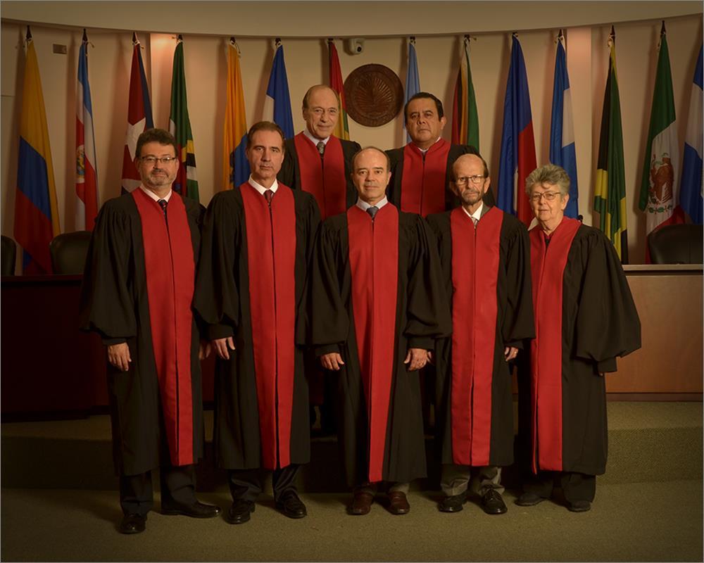 First row from left to right: Judge Humberto Antonio Sierra Porto, Judge Eduardo Ferrer Mac-Gregor (Vice President); Judge Roberto F.