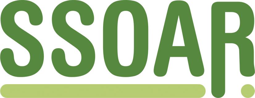 www.ssoar.info Foreigners, immigrants and persons with a 'migration background' : what kind of official data are needed in Germany?