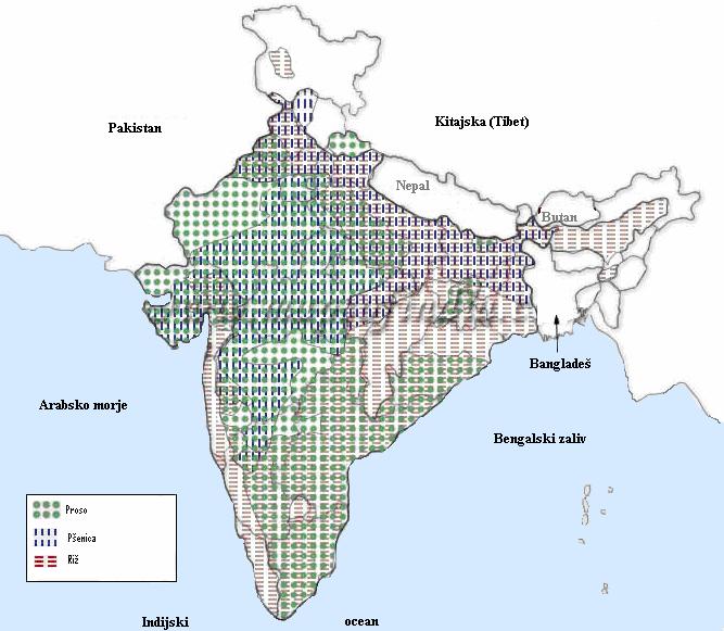 57 Slika 11: Proizvodnja pšenice, riža in prosa po državah v Indiji (Map of..., 2008) Država Harjana je samozadostna v pridelavi hrane in druga največja proizvajalka žit.