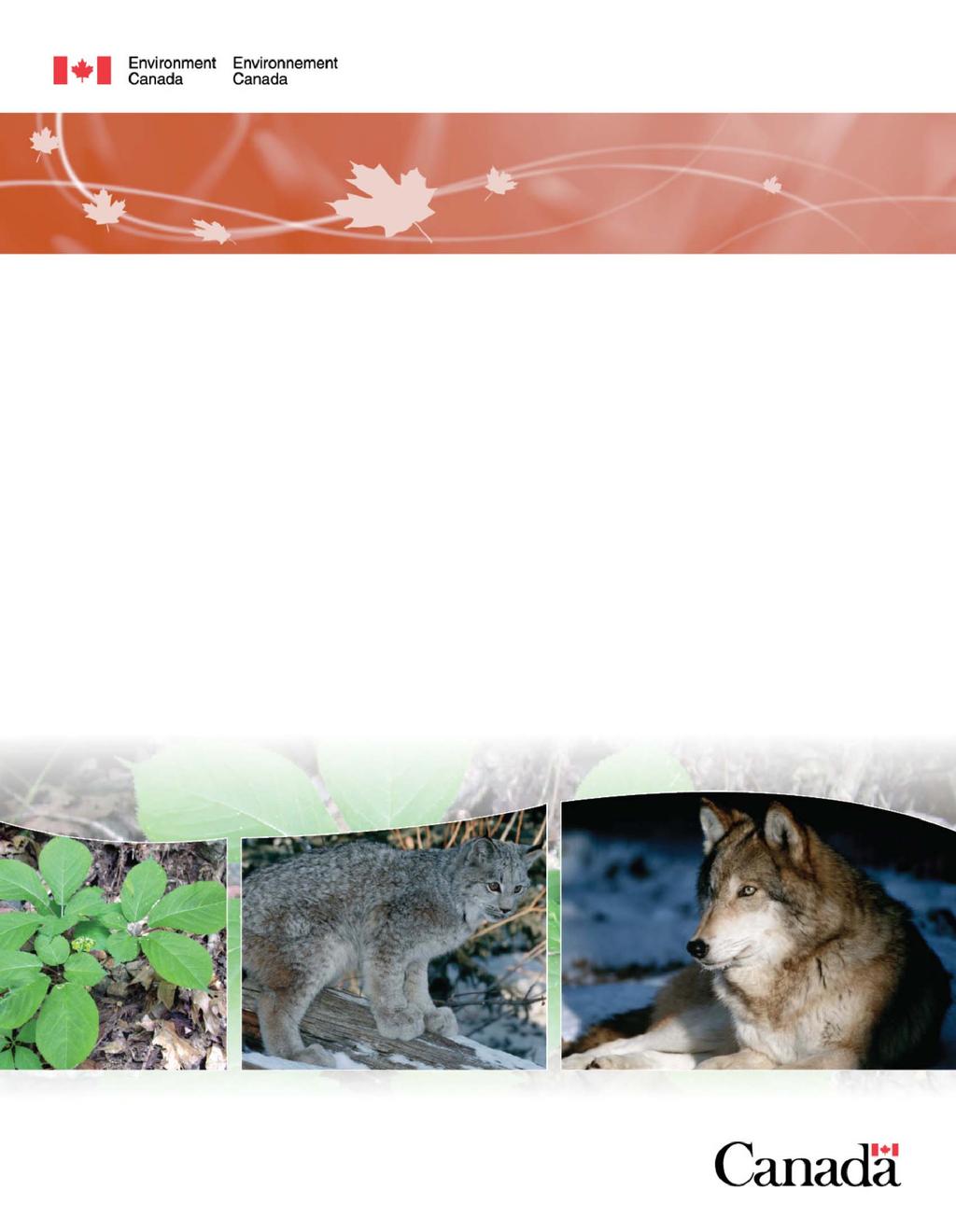Wild Animal and Plant Protection and Regulation of