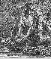 The California Gold Rush Continues 4. One method miners used to find gold was panning. Describe this method.