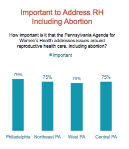Geographic and Demographic Results % Important to Address Reproductive Health Issues % Favors NY s 10-Point