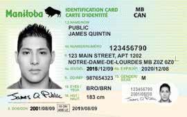 What information will be on your Manitoba Identification Card?