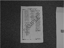 One of the precinct election officials, of the opposite party of the voting location manager, should verify that all absentee voters have been indicated on the Precinct Official Registration Lists