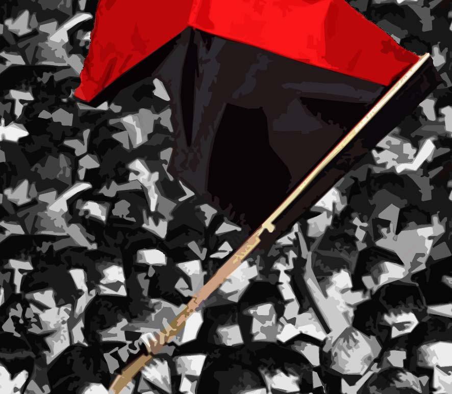 Organised Anarchism in the Anti-Capitalist Struggle Why We Need Organisation - and