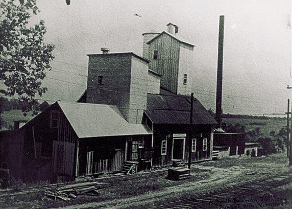 1. The railroads controlled the grain elevators. What effect did this have on the farmer? 2. What could farmers do to try to change this situation to their benefit? http://www.bluemontva.