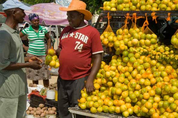 The Informal Economy and Sustainable Livelihoods essential for livelihoods in developing countries.