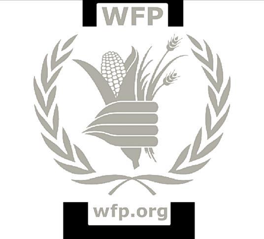 WFP S ROLE IN PEACEBUILDING IN TRANSITION SETTINGS Informal