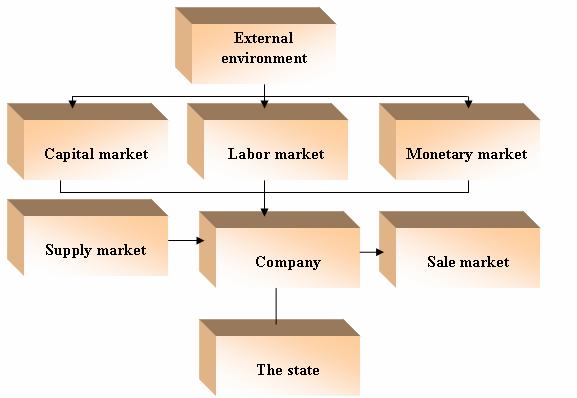 Political Facts Interference in Companies Economic Space 271 The system of the relationships with the environment considers the following repts of the trade company (figure 2): supply and sale
