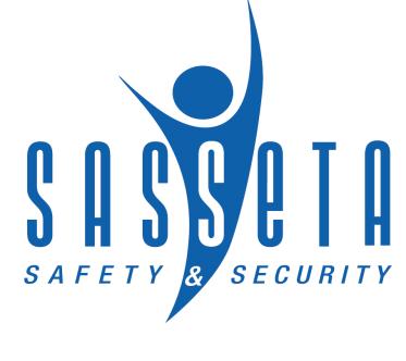 CONSTITUTION OF THE SAFETY AND SECURITY