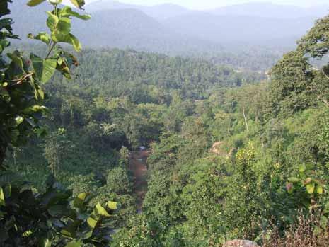 Natural sal forests on the collective ancestral Khuntkatti lands of the Mundari people in Seraikella District, Jharkhand.