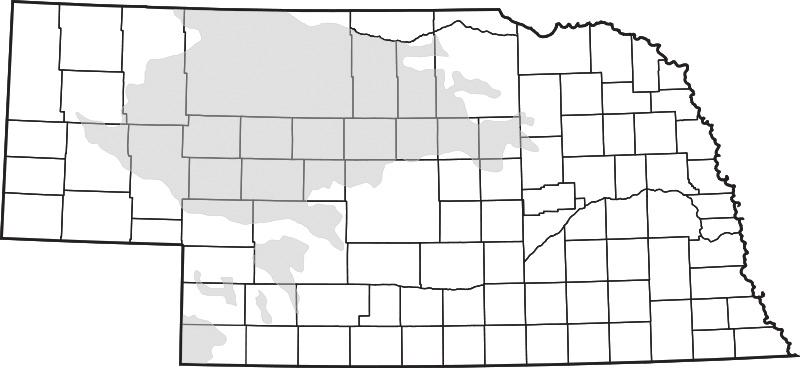 Several existing trunk lines in the U.S. originate in Canada.