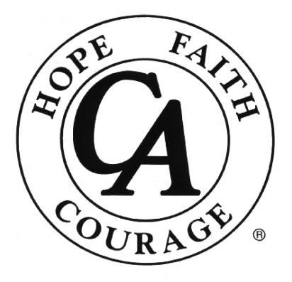 Cocaine Anonymous World Service Literature, Chips, and Formats