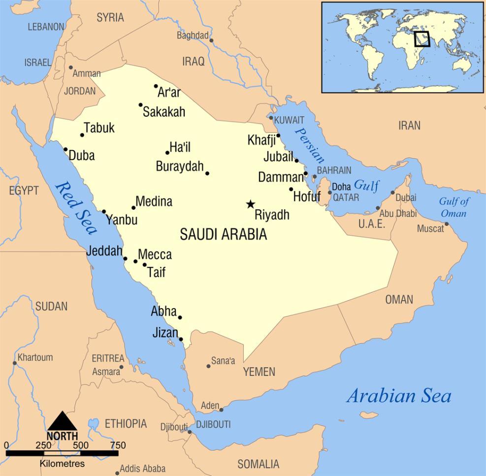 I. The Kingdom of Saudi Arabia KSA Population almost 30m, about 30% are not citizens Average age 26.4y, about 47% younger than 24y GER 81m 47.
