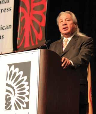 The Tribal Supreme Court Project is staffed by the National Congress of American Indians and the Native American Rights Fund to promote greater coordination and strategy on litigation that may affect