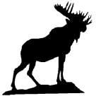 ABOUT THE FRATERNITY The Loyal Order Of Moose Why the Moose? The Loyal Order of Moose was organized in 1888 in Louisville, Kentucky.