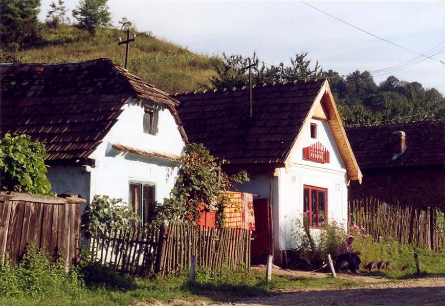 4. Roma in Nem a A village with Saxon inheritance Picture: Two houses in Strad Brazilor, the street in Nem a where most Roma