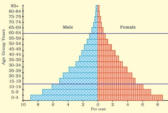 how many are males or females, which age group they belong to, how educated they are and